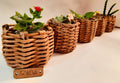 Macetas decorativas