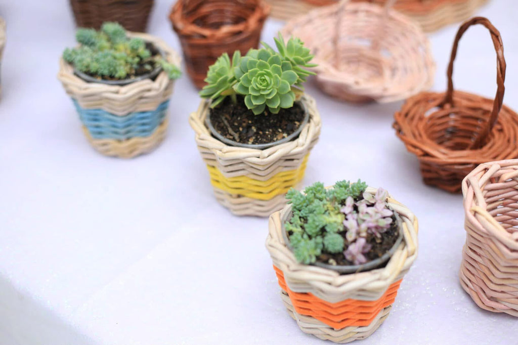 Macetas decorativas